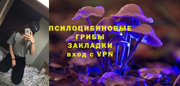 стаф Белоозёрский