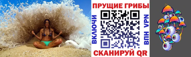 Галлюциногенные грибы GOLDEN TEACHER  Богородск 